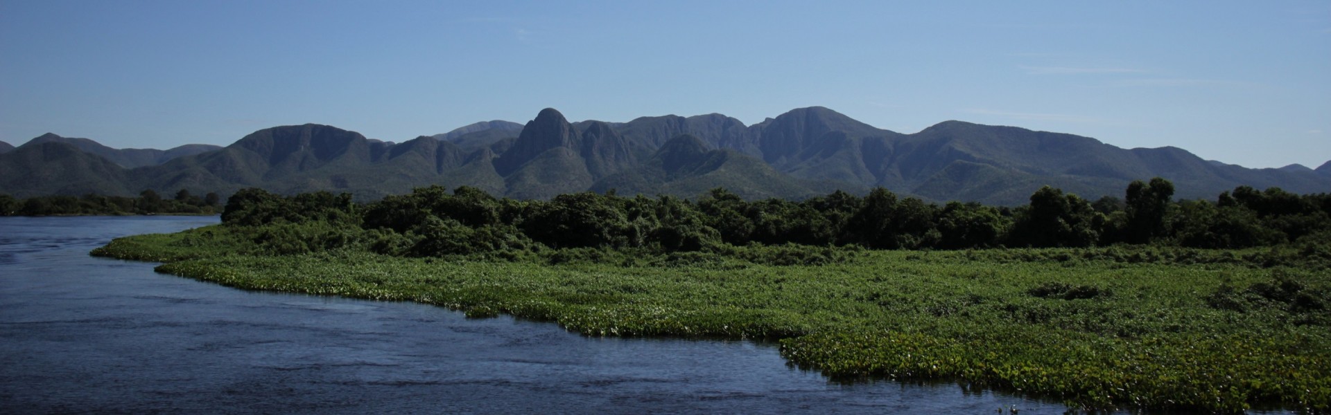 Pantanal sul-mato-grossense