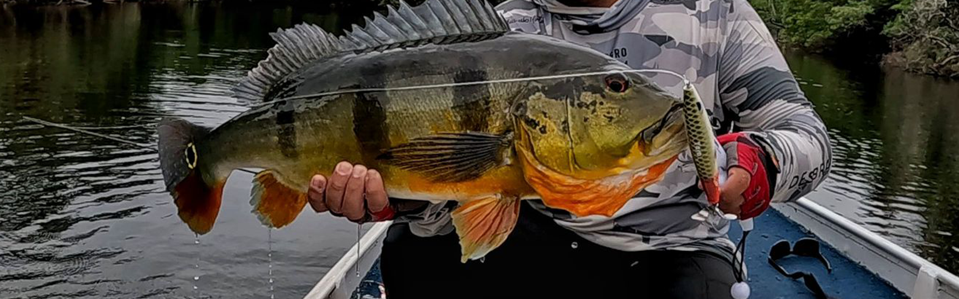 Pescadores estrangeiros agora podem emitir Licenças de Pesca Amadora e Esportiva no Brasil. Foto: Fish TV.