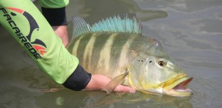 10º ENCONTRO DA PESCA ESPORTIVA MOVIMENTOU SÃO SIMÃO