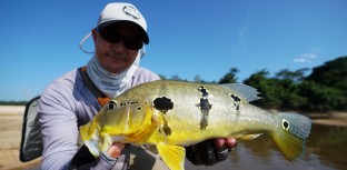 Gerson Kavamoto pesca esportiva tucunaré