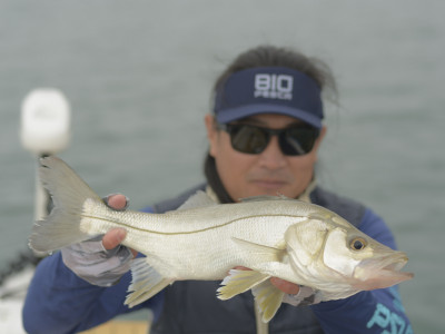 Décima temporada de Biopesca estreia dia 30 de junho, com conteúdos de biologia e grandes pescarias