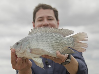 Mato Grosso do Sul tem aumento na exportação de pescado em 2020