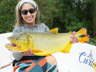 Caminhos Argentinos: agora na tela da Fish TV