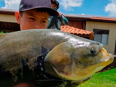 O futuro da pesca esportiva: Conheça jovem que participou das gravações do Pesqueiros do Brasil