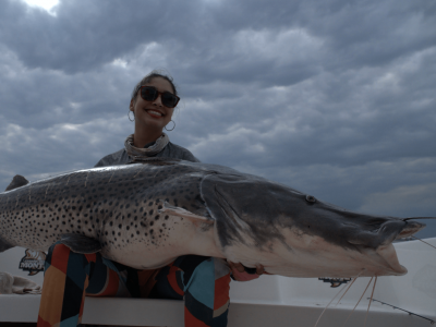 Destinos:  nona temporada estreia amanhã repleta de pescarias em águas brasileiras e argentinas