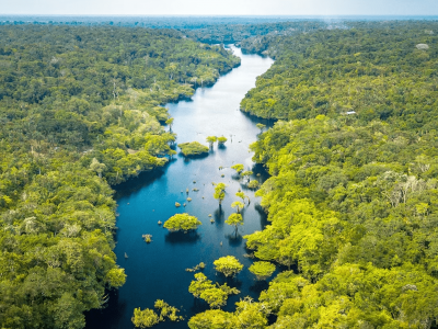 Campanha de preservação Junho Verde contará com audiências da Comissão de Meio Ambiente