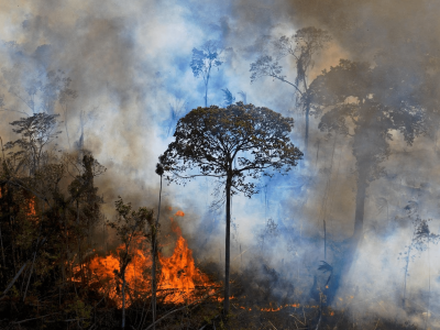 Questões ambientais afligem mais da metade dos brasileiros, diz pesquisa