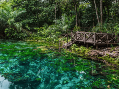 Brasil é o melhor país para ecoturismo, diz Forbes