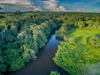 Fundo de investimento recebe financiamento de US$15 milhões para negócios na Amazônia