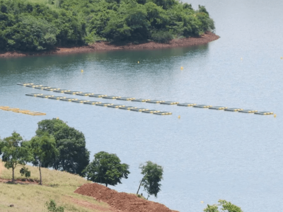 Ministério da Pesca e Aquicultura e Marinha promovem capacitação sobre aquicultura em águas da União