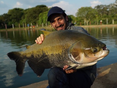 Kleber Sanches captura tambaqui