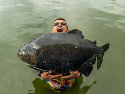 Principais famílias capturadas nos torneios de pesca nas praias do Olho