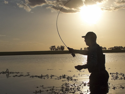 FFF 2025: quinta edição do Fly Fishing Festival traz campeonato inédito e atrações para toda a família?