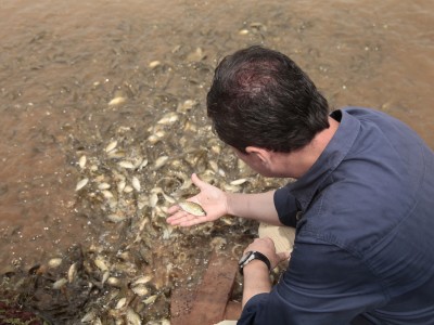 Inscrições para simpósio de aquicultura na Feevale vão até dia 19 de maio