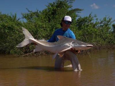 Biopesca, Lawrence Ikeda, piraíba