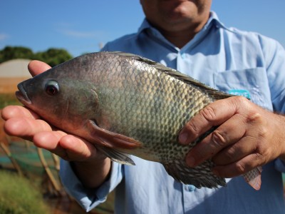 aquicultura, Aquishow