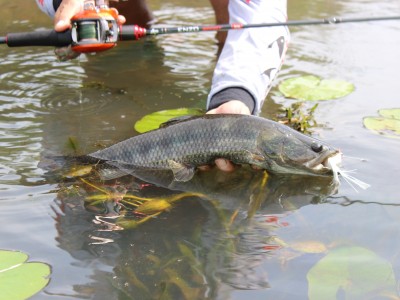 3º Torneio de Pesca de Traíra da NoRio segue até junho de 2020