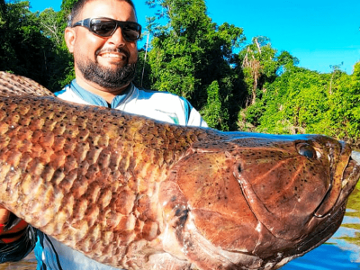 Pará aprova lei e reconhece a pesca esportiva como modalidade esportiva oficial. Foto: Fish TV (Pura Pesca).
