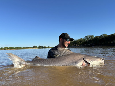 Brasil é destaque em biodiversidade de peixes de água doce. Foto: Fish TV.