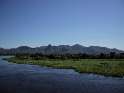Pantanal sul-mato-grossense