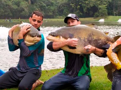 Pesqueiro Arujá devolve 60 exemplares de estufa para o lago, após frio intenso