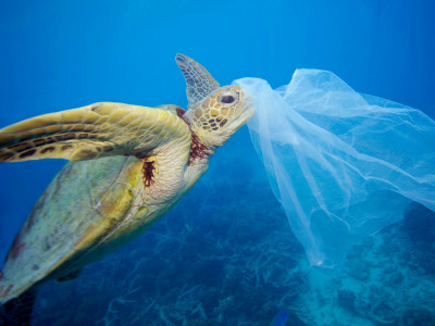 Oceanos têm mais de 170 trilhões de partículas de plástico; 90% são transportadas pelos rios