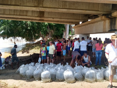 Entenda o que é preciso para realizar a soltura de alevinos