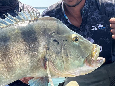 FINAL DA COPA PEM 2025 ACONTECE NESTE SÁBADO EM TRÊS MARIAS, MINAS GERAIS