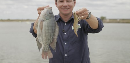 Dê preferência para pescados de criatório na Sexta-feira Santa