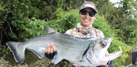 Pesca esportiva e estadia de conforto com o Teles Pires Lodge