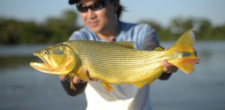 Dourado, Mato Grosso do Sul