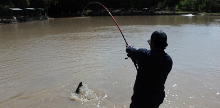 pesqueiro, pesque e solte, pesca esportiva