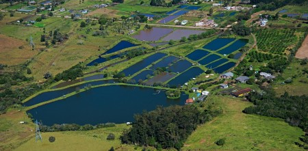 Sítio Reviver, Parobé, Rio Grande do Sul