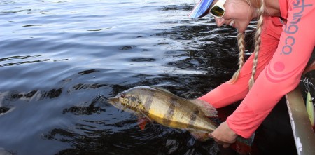 COMEÇA EM MARÇO TORNEIO VIRTUAL DE PESCA AO TUCUNARÉ