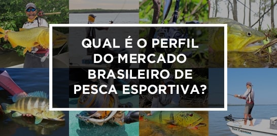 Qual é o perfil do mercado brasileiro de pesca esportiva?