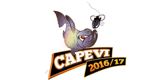 Vagas abertas para o Capevi 2016/2017