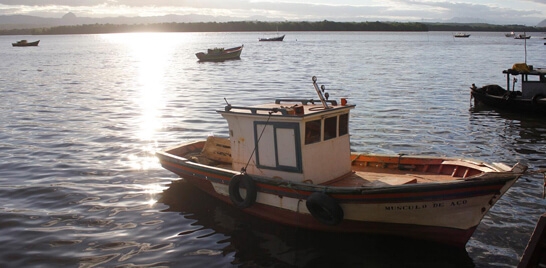 Aprovado projeto que proíbe a pesca com rede em Vitória