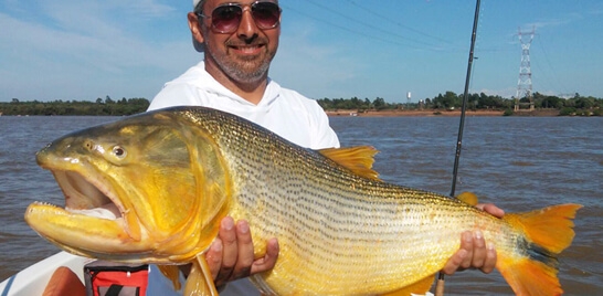 Conheça a Bamby’s Pesca