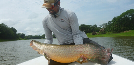 O Fly Fishing como você nunca viu