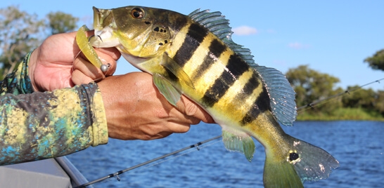 1ª Copa Brasília de Pesca Esportiva