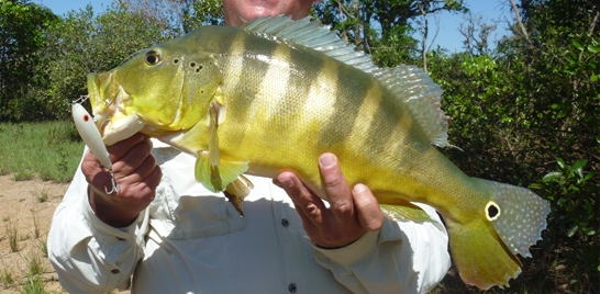 1º Encontro de pescadores em busca do tucunaré