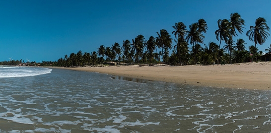 CEARÁ PLANEJA A CRIAÇÃO DE 10 PARQUES AQUÍCOLAS