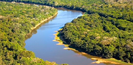 Jovem é preso por pesca predatória em Rio Negro