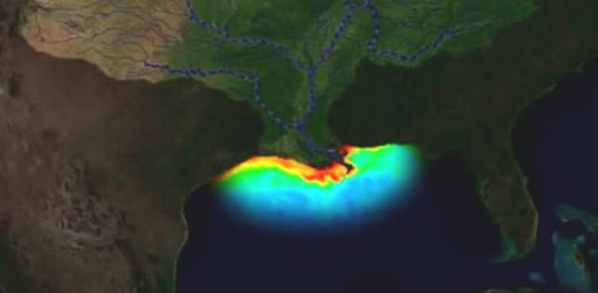 EXPANSÃO DE ZONAS MORTAS NOS OCEANOS É PREOCUPANTE