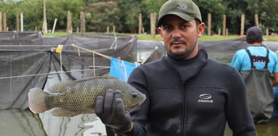 Santa Fé promove Festa do Peixe