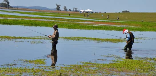 4º CIRCUITO DE PESCA DESEMBARCADA DE TRAÍRAS EM BAGÉ