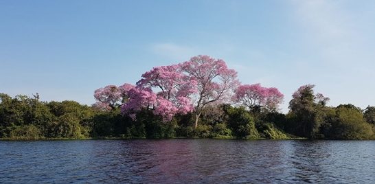 1º REMO & PESCA DO PANTANAL