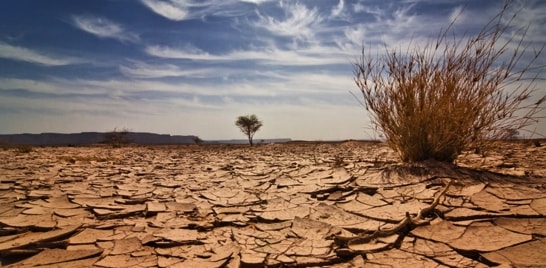 Boletins meteorológicos para daqui 30  anos anunciam mudanças climáticas assustadoras