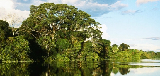 5 CURIOSIDADES SOBRE A AMAZÔNIA, ALÉM DA PESCA ESPORTIVA