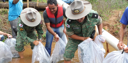 PREFEITURA DE UBERLÂNDIA REALIZA SOLTURA DE PEIXES EM RIOS DA REGIÃO